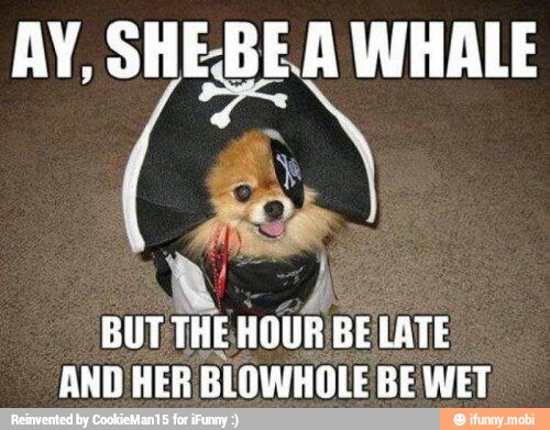 BUT
A nova BE
LATE
AND HER BLOWHOLE BE WET