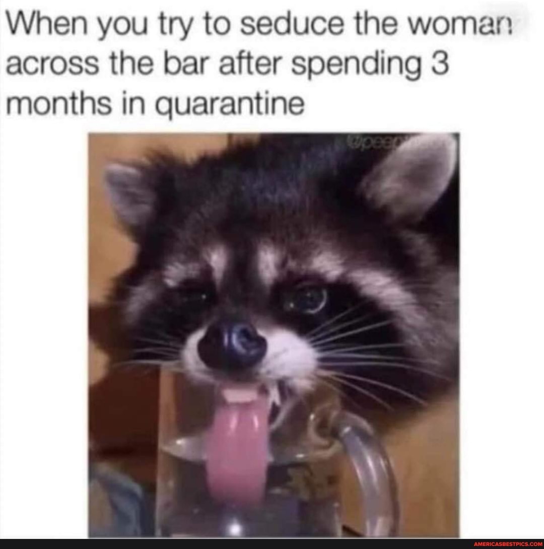 When you try to seduce the woman across the bar after spending 3 months in quarantine