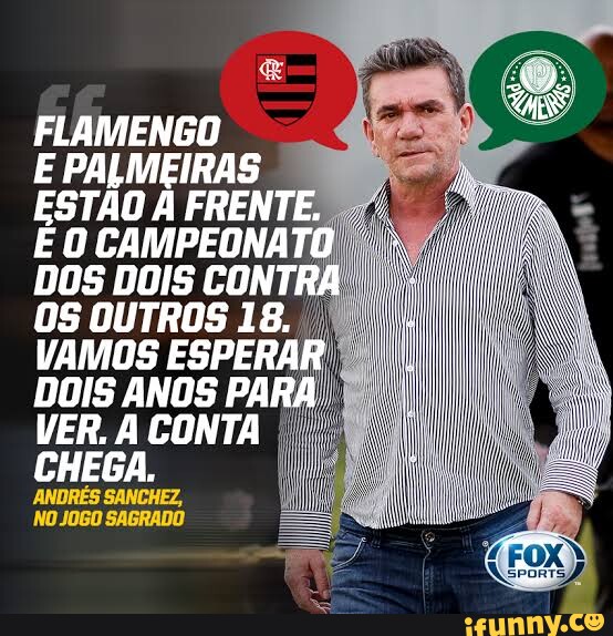 FLAMENGO E PALMEIRAS ESTÃO A FRENTE E O CAMPEONATO DOS DOIS CONTRA OS ...