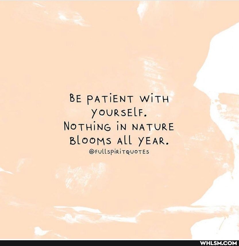 BE PATIENT WITH YOURSELF.
NOTHING IN NATURE Blooms All YEAR.
@FULLspiRiTQUOTES