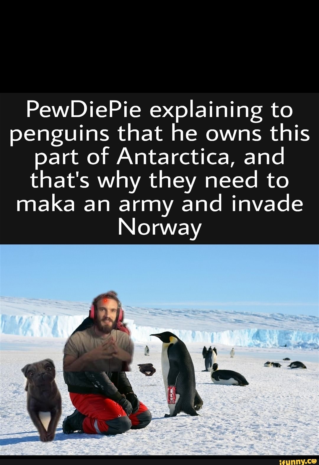 Pew DiePie explaining to penguins that he owns this part of Antarctica ...