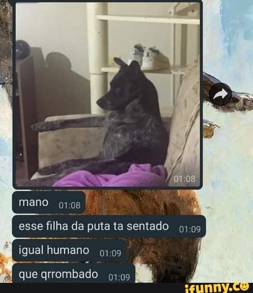esse filha da puta ta sentado
igual humano
que qrrombado