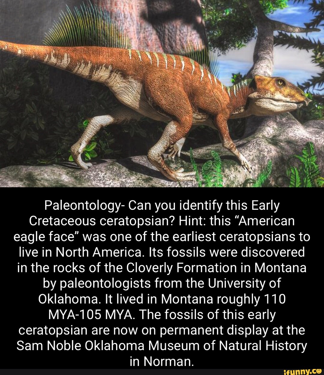 Paleontology Can you identify this Early Cretaceous ian? Hint this