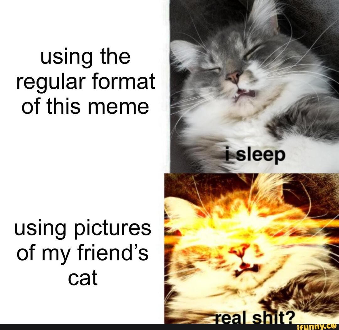 Using the regular format of this meme using pictures of my friend's cat ...