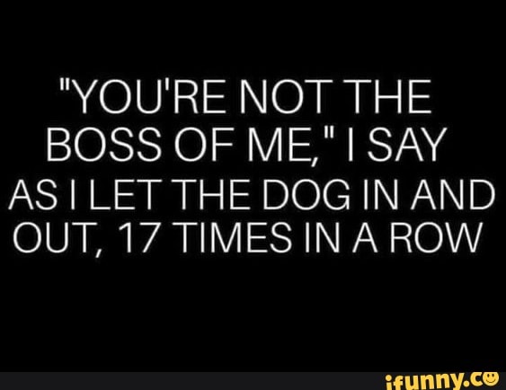 "YOU'RE NOT THE BOSS OF ME," SAY AS ILET THE DOG IN AND OUT, 17 TIMES IN A ROW