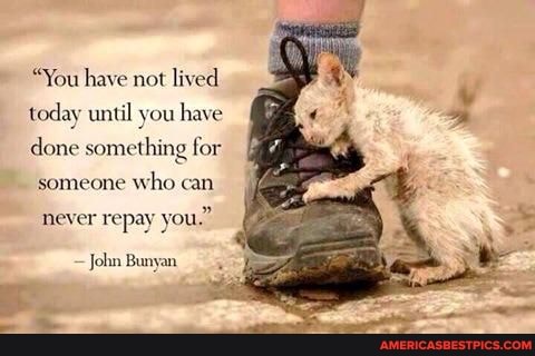 "You have not lived
today until you have
done something for someone who can never repay you."
John Bunyan