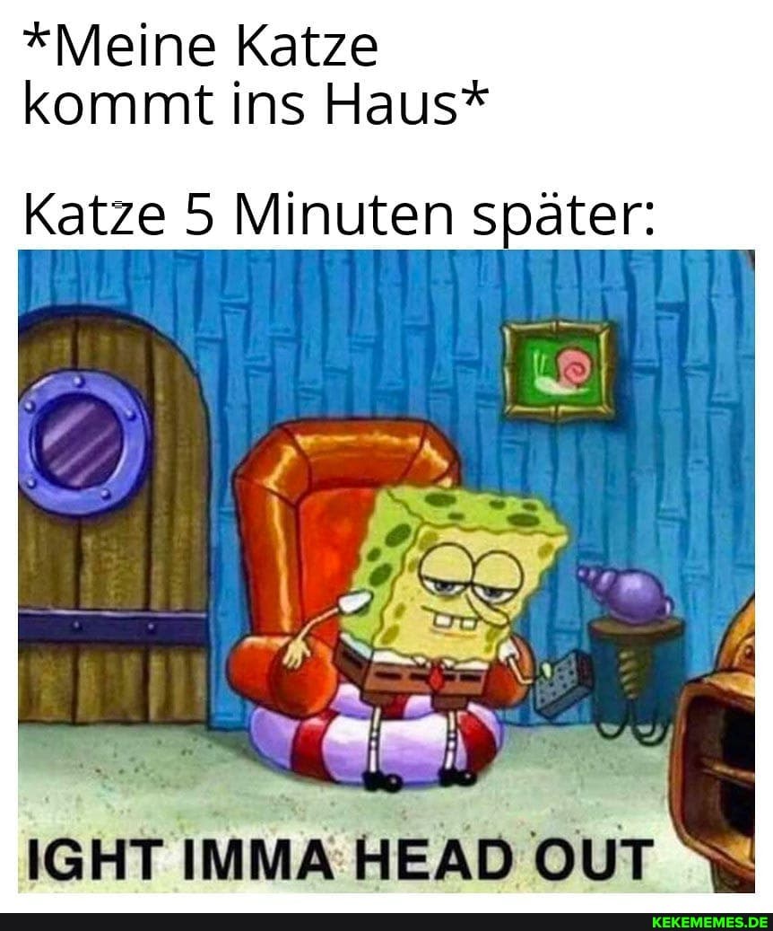 *Meine Katze kommt ins Haus*
Katze 5 Minuten später:
IGHT IMMA HEAD OUT