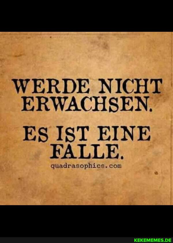 WERDE NICHT ERWACHSEN.
ES IST EINE FALLE.
quadrasophics. com