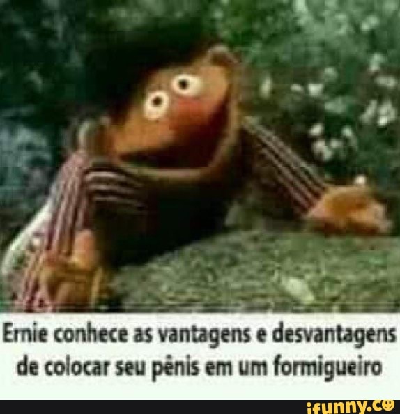 is
Emie conhece as vantagens desvantagens de colocar seu pênis em um formigueiro