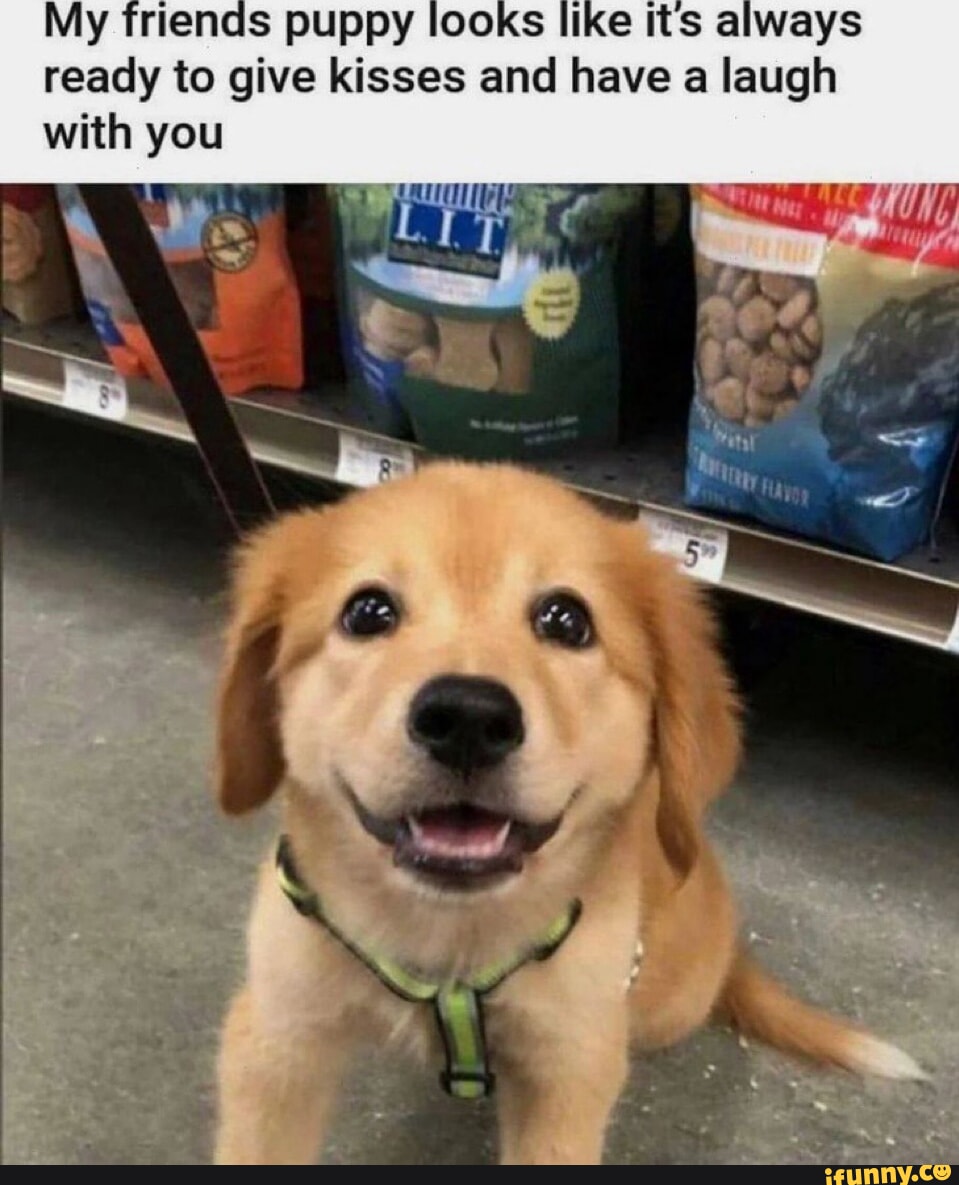 Mineta Time Skip Theory: What would happen if after a time skip in my ...