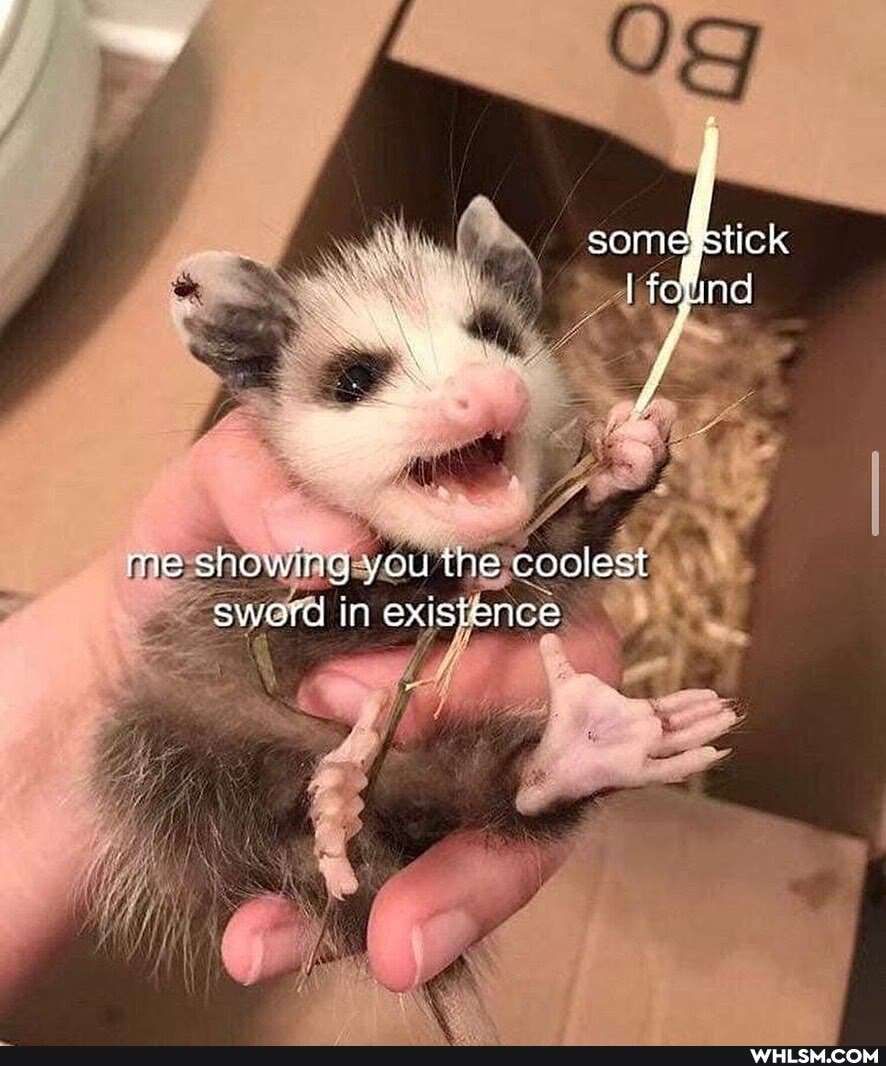 somegstick nd if
nd
me showing you the coolesi sword in existence