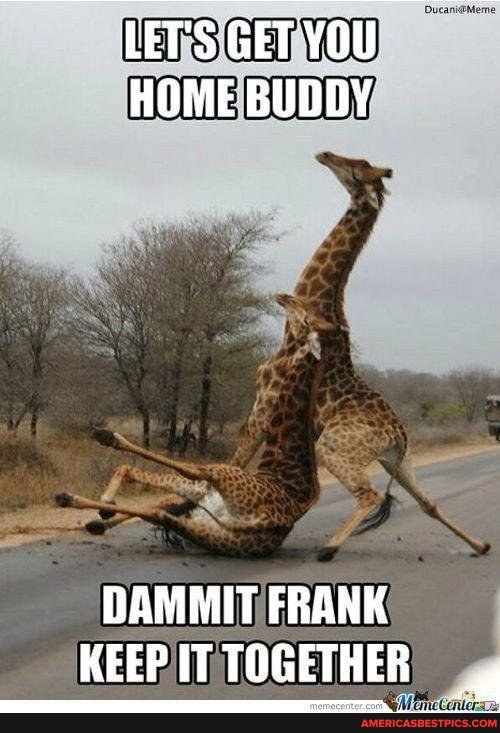 LET'S GET YOU HOME BUDDY
DAMMIT FRANK KEEP IT TOGETHER