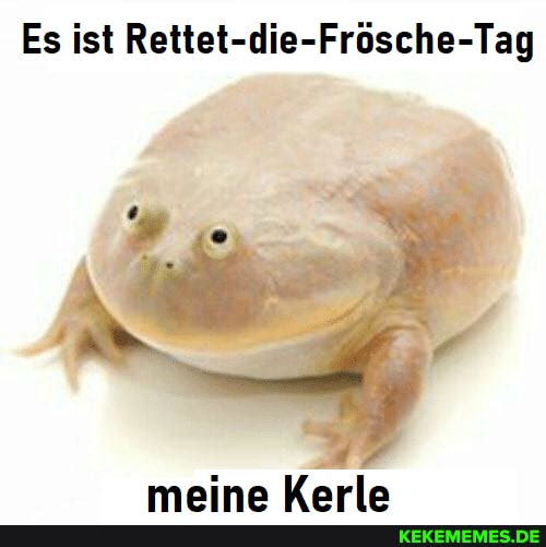 Es ist Rettet-die-Frösche-Tag
maina Karla