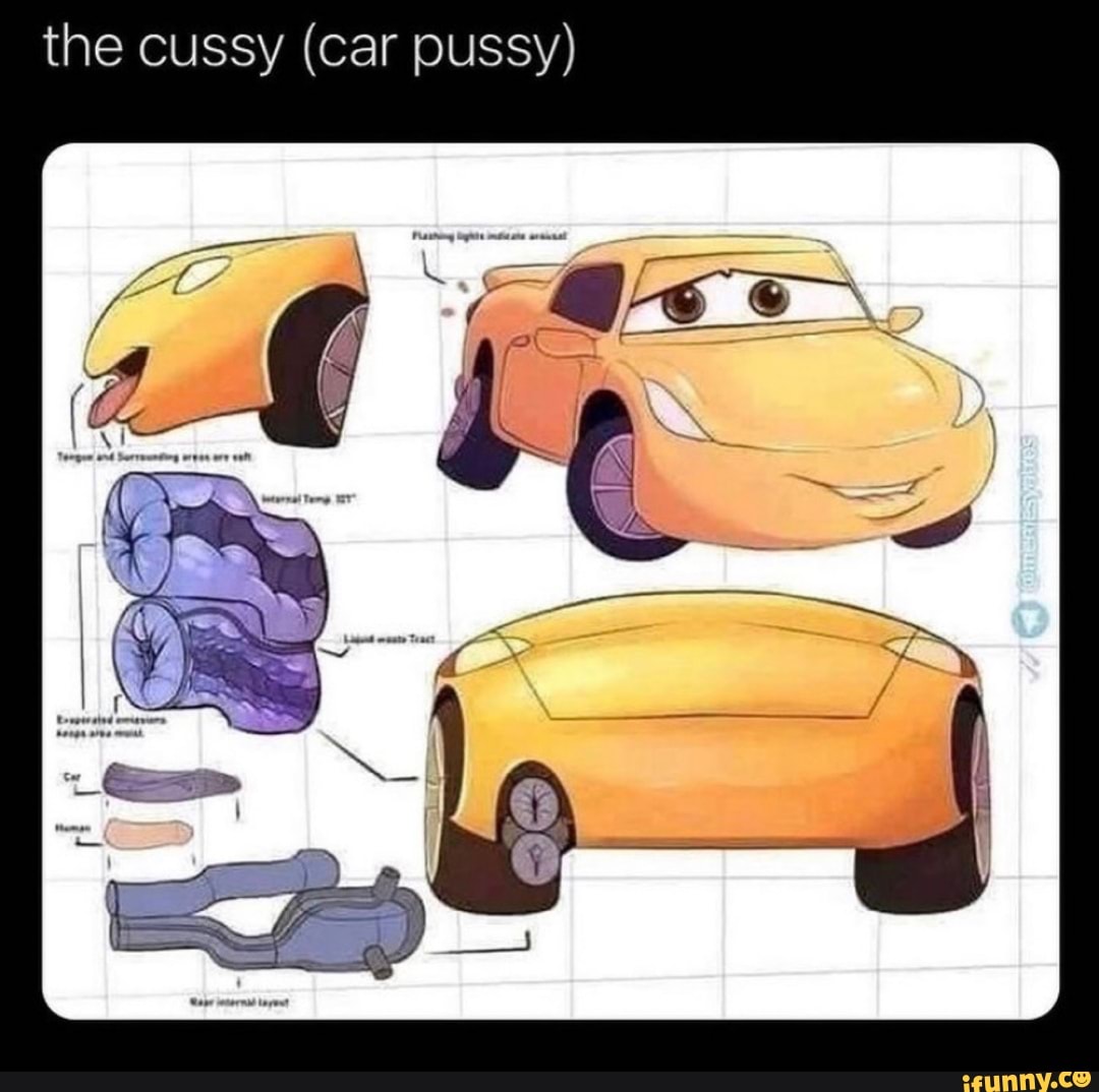 Car cussy