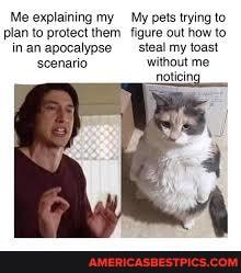 Me explaining my My pets trying to plan to protect them figure out how to inan apocalypse _steal my toast sscenario without me oticin
oticin