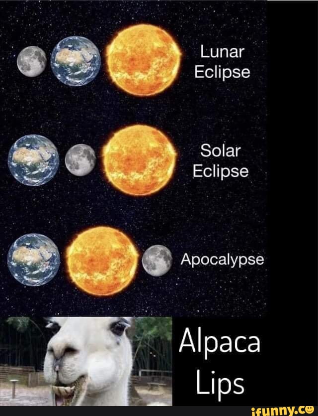 Lunar Eclipse Solar Eclipse Apocalypse Alpaca Lips Ifunny Lunar Eclipse Solar Eclipse Apocalypse Alpaca Lips Ifunny