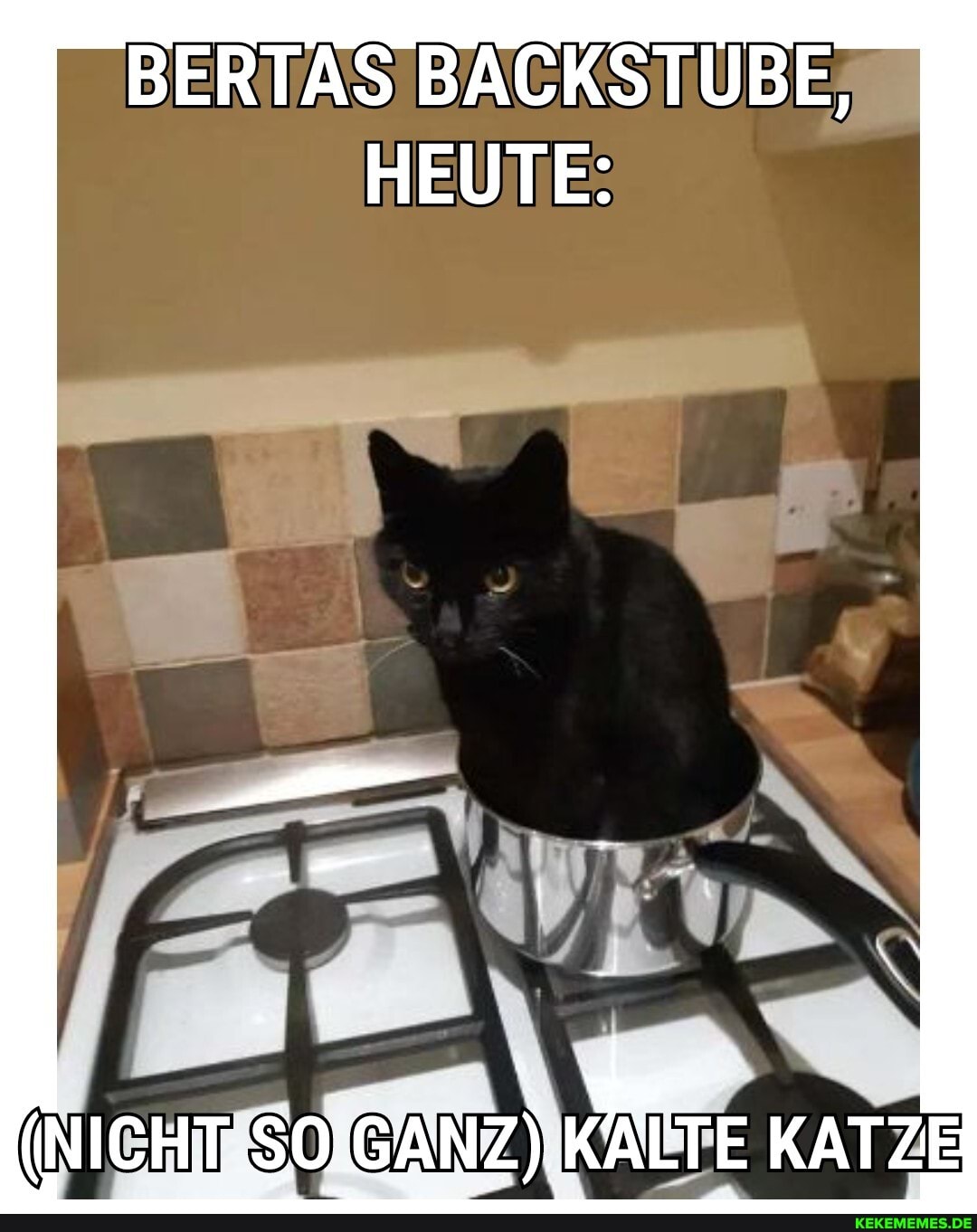 BERTAS EACKSTUBE,