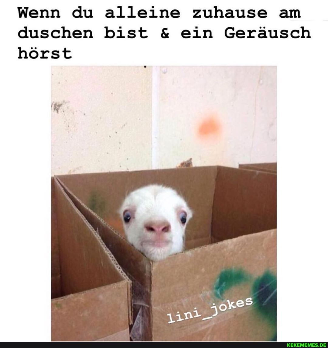 Wenn du alleine zuhause am duschen bist & ein Geräusch hörst