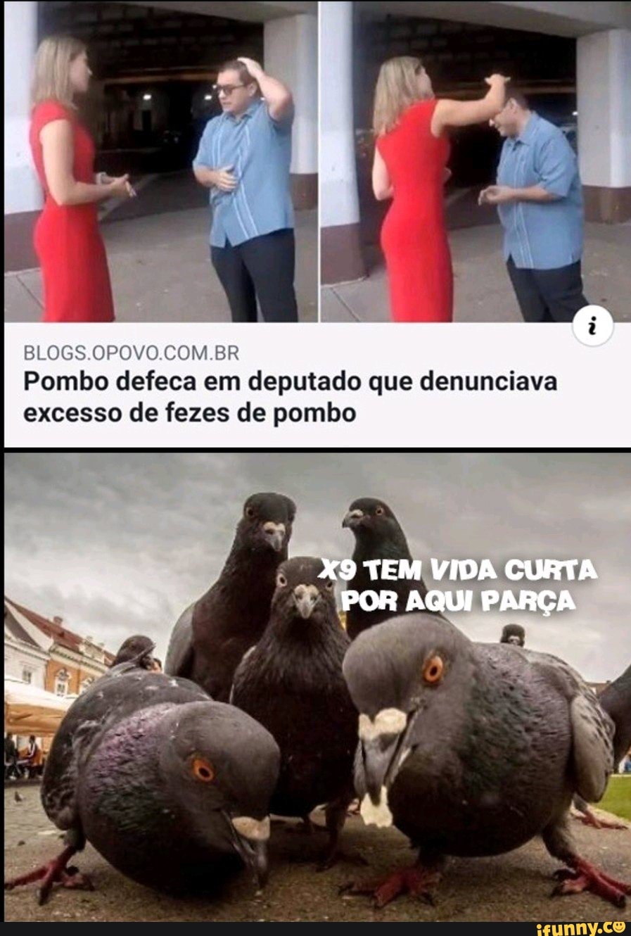 BLOGS.OPOVO.COM.BI
Pombo defeca em deputado que denunciava excesso de fezes de pombo
TEM VIDA CURTA
POR AQUI PARÇA