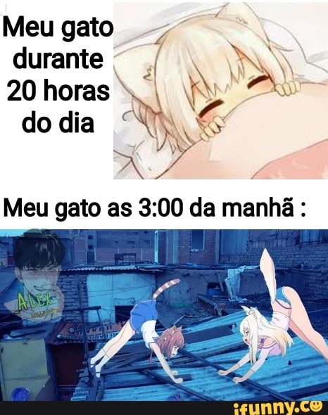 Meu gato
durante
20 horas
do dia
Meu gato as da manhã: