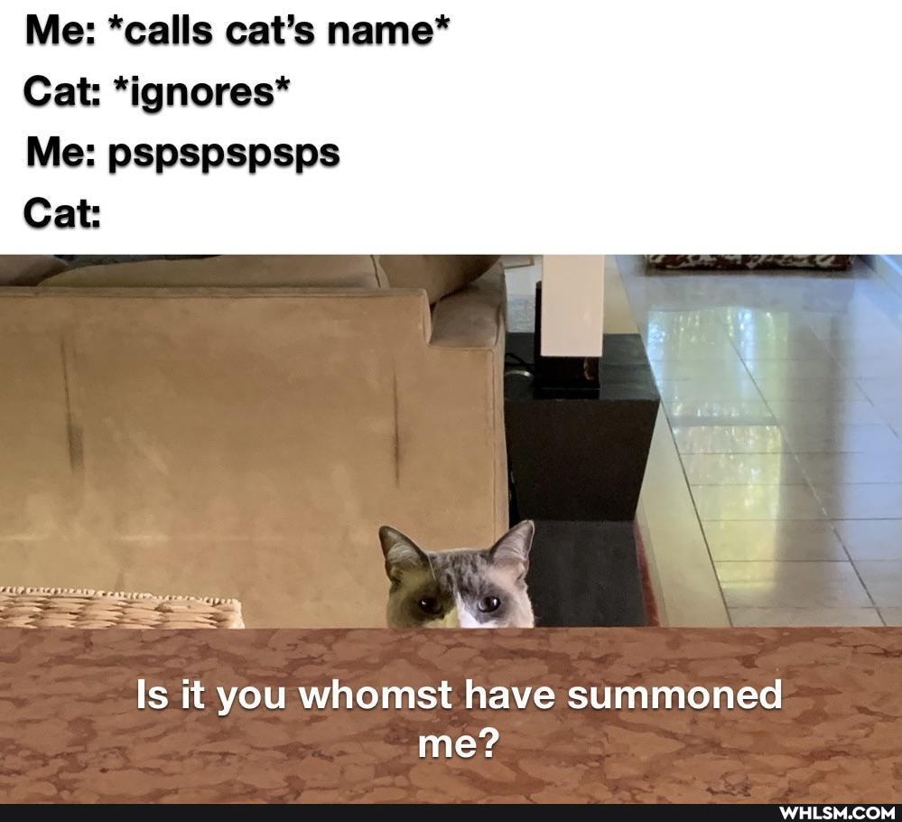 Me: *calls cat's name*
Cat: *ignores*
Me: pspspspsps
Cat:
Is it you whomst have summoned me?