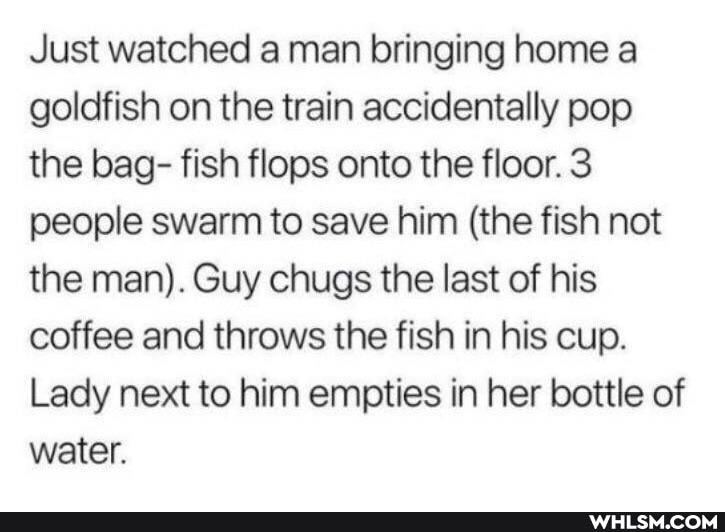 Just watched a man bringing home a goldfish on the train accidentally pop the bag- fish flops onto the floor. 3 people swarm to save him (the fish not the man). Guy chugs the last of his coffee and throws the fish in his cup.
Lady next to him empties in her bottle of water.