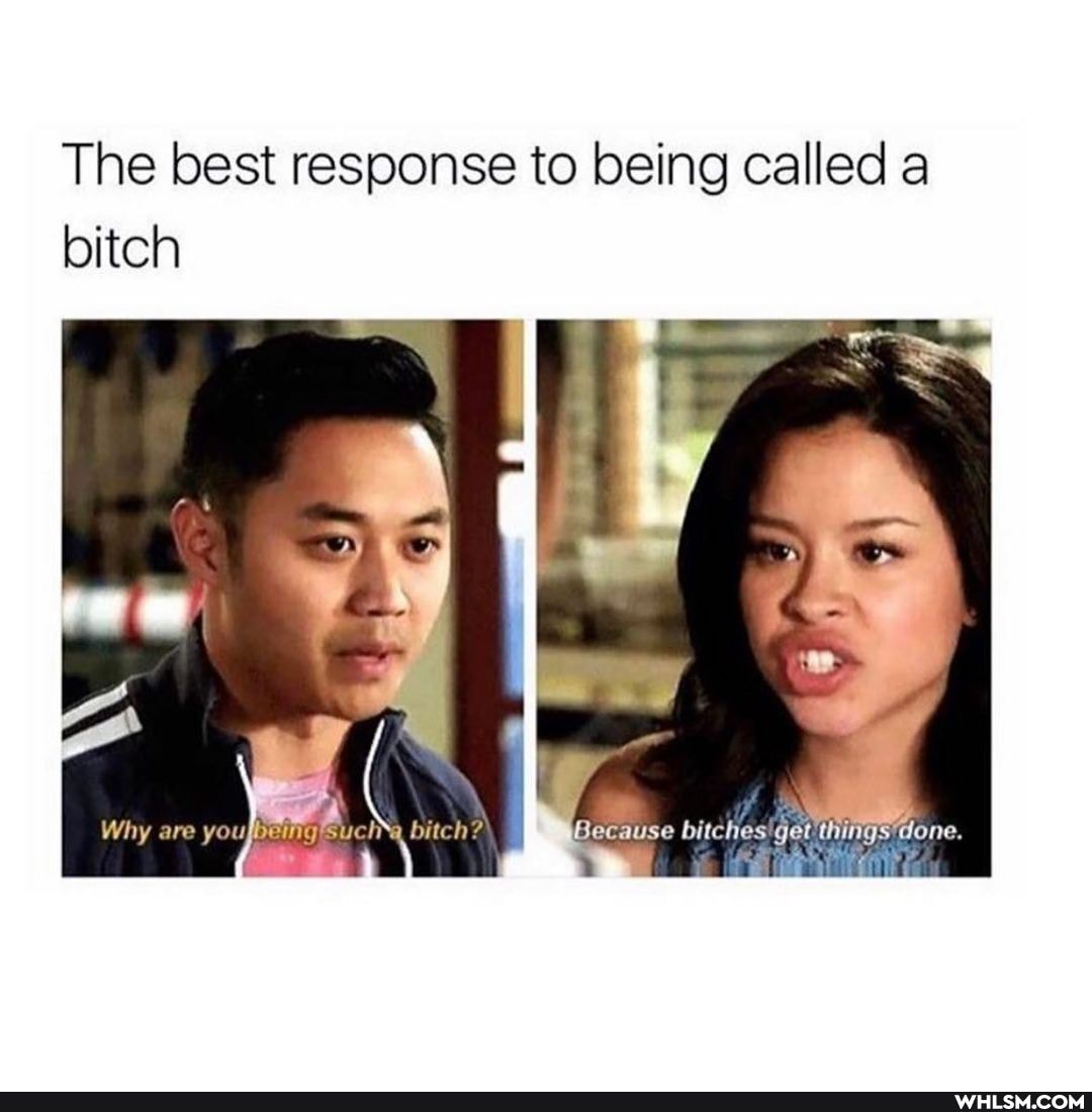 The best response to being called a bitch
Because bitches ge
Why are
AC