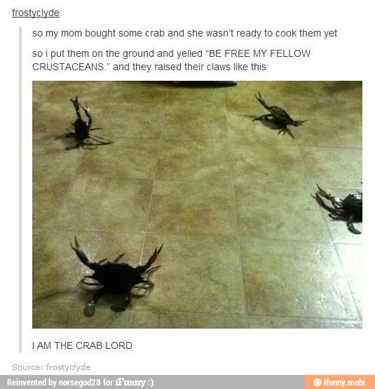 trostyciyde:
so my mom bought some crab and she wasn't ready to cook them yet
so i put them on the ground and yelled "BE FREE MY FELLOW
CRUSTACEANS." and they raised their claws like t
