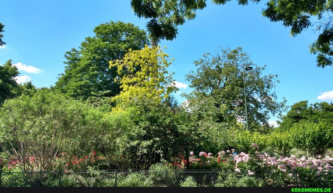 été, est, arrivé, paris, summer, arrived