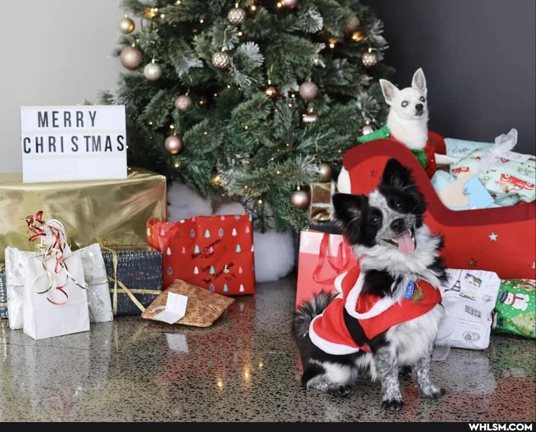 MERRY CHRISTMAS