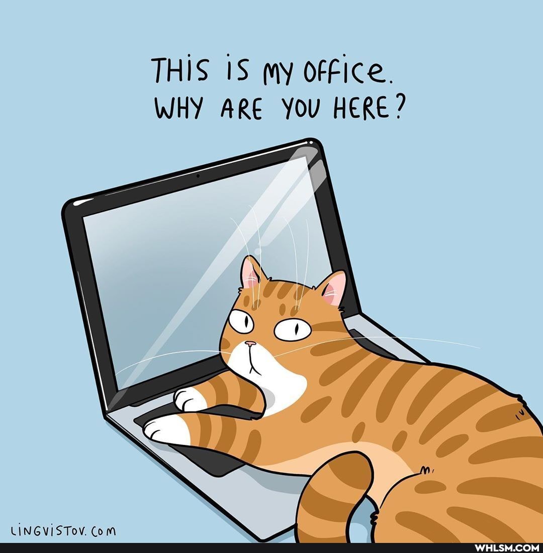 THIS iS my OFFICe.
WHY ARE You HERE?