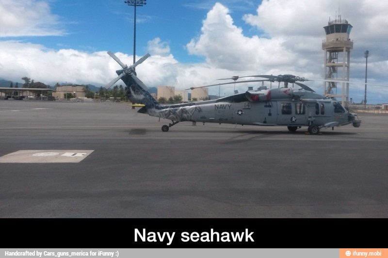 Navy seahawk - Navy seahawk