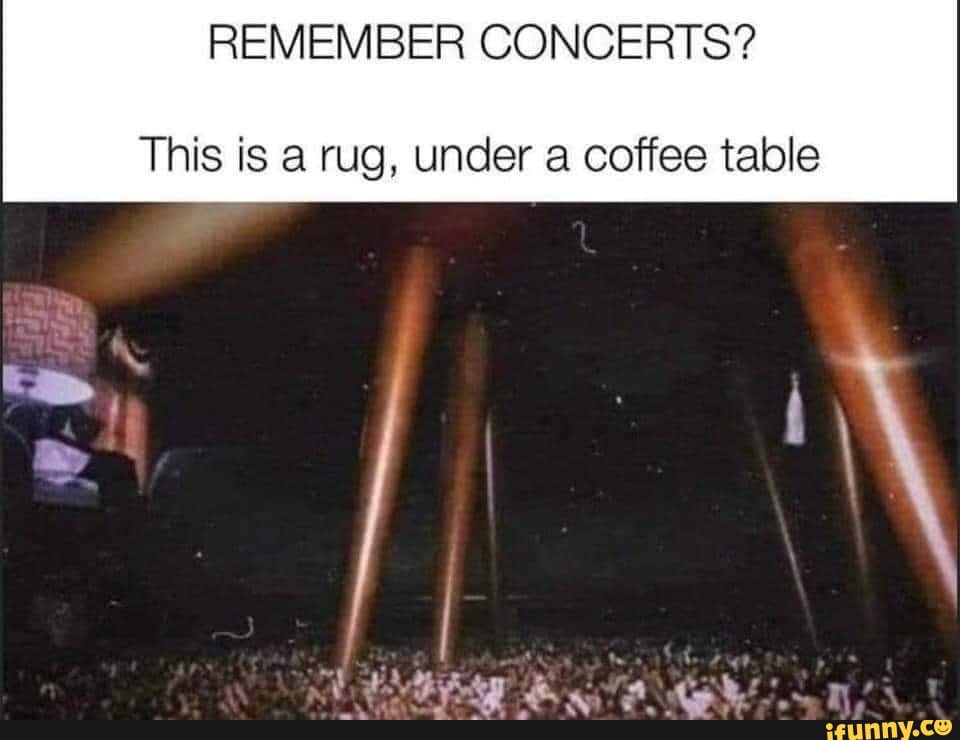 REMEMBER CONCERTS? This is a rug, under a coffee table seo.title