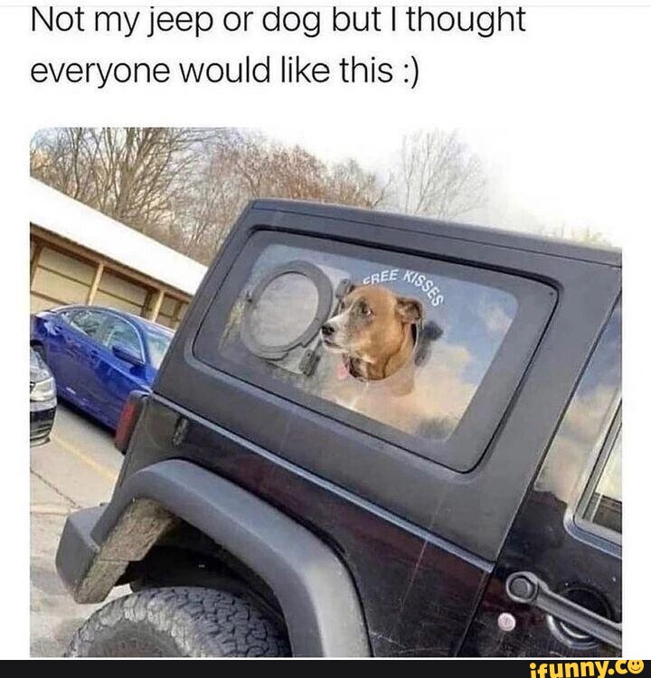Not My Jeep Or Dog But I Thought Everyone Would Like This - Ifunny