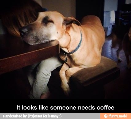It looks like someone needs coffee - It looks like someone needs coffee