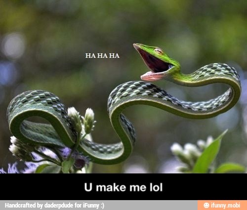 U make me lol