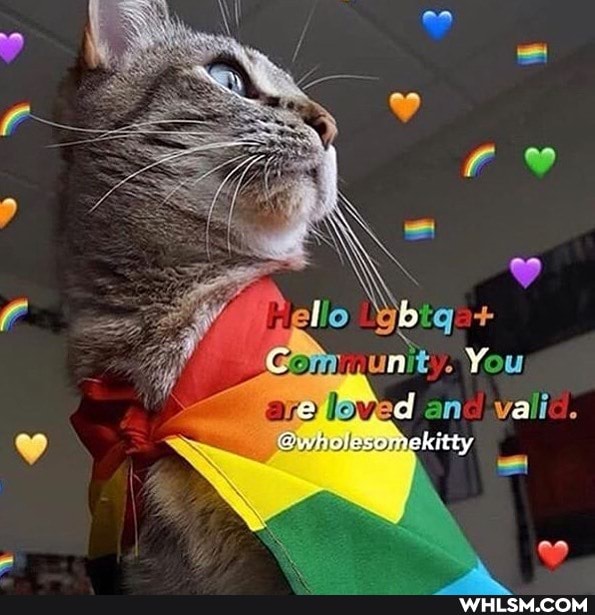 fe)
Gom unit You
laved d an. vali
kitty
ar)
