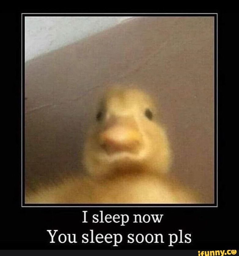 i-sleep-now-you-sleep-soon-pls-ifunny