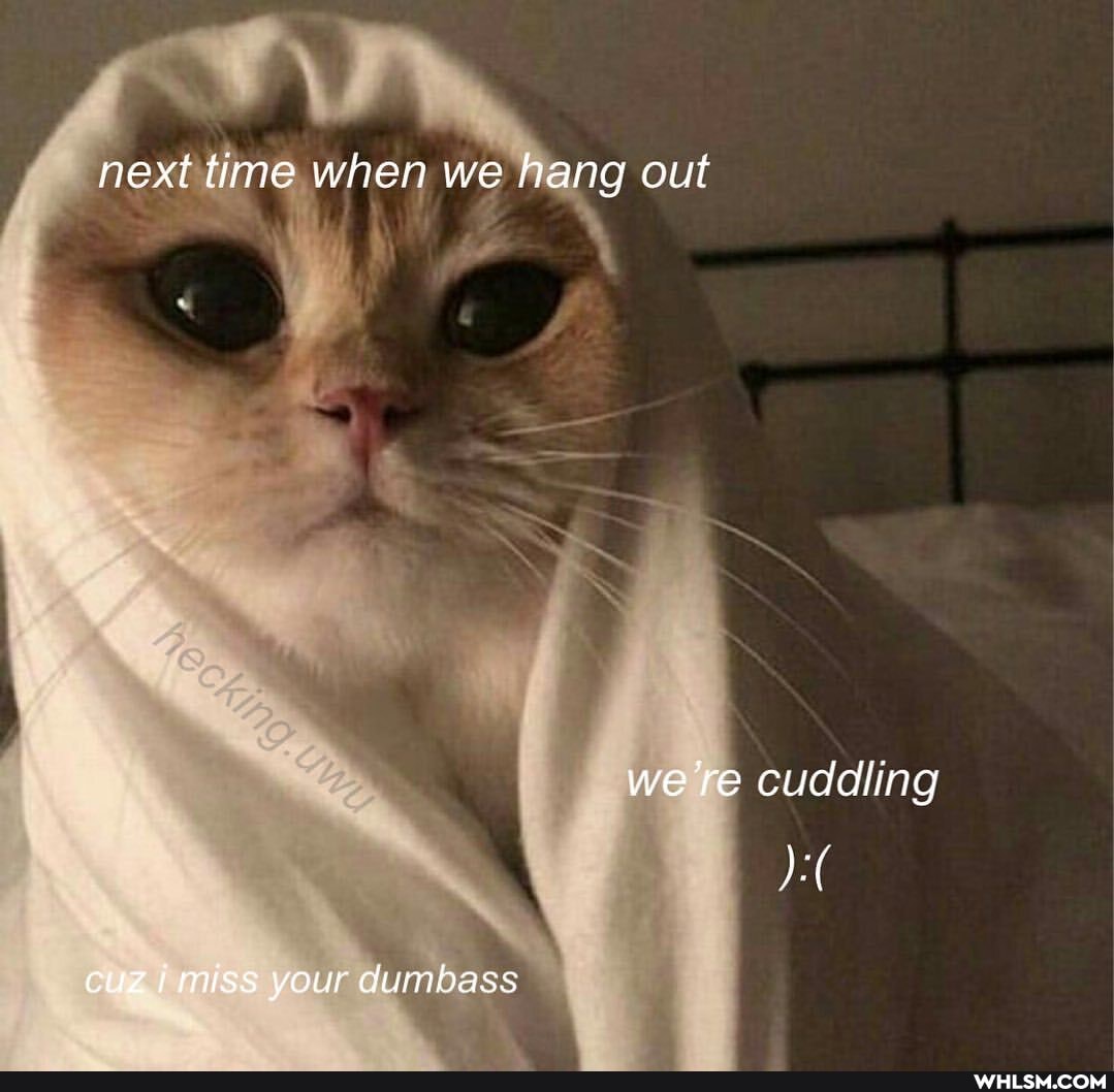 next time when we hang out
we re cuddling
if
our dumbass
