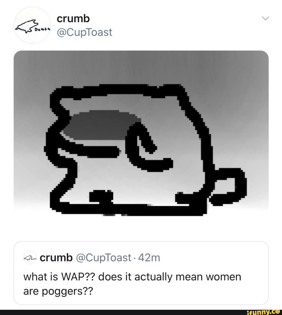 crumb-cuploast-crumb-cuptoast-what-is-wap-does-it-actually-mean