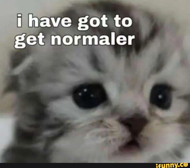 Normaler memes. Best Collection of funny Normaler pictures on iFunny