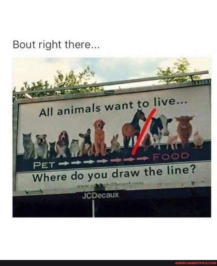 Bout right there...
anima Is want
Mhere PET do you draw the