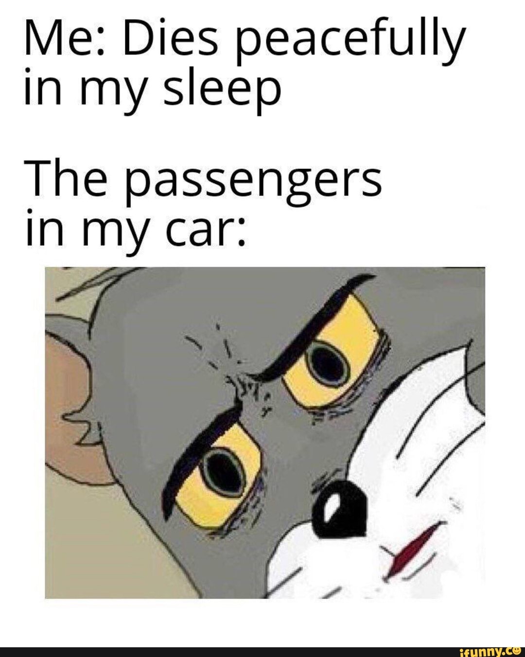 Me: Dies peacefully in my sleep
The passengers in my car: