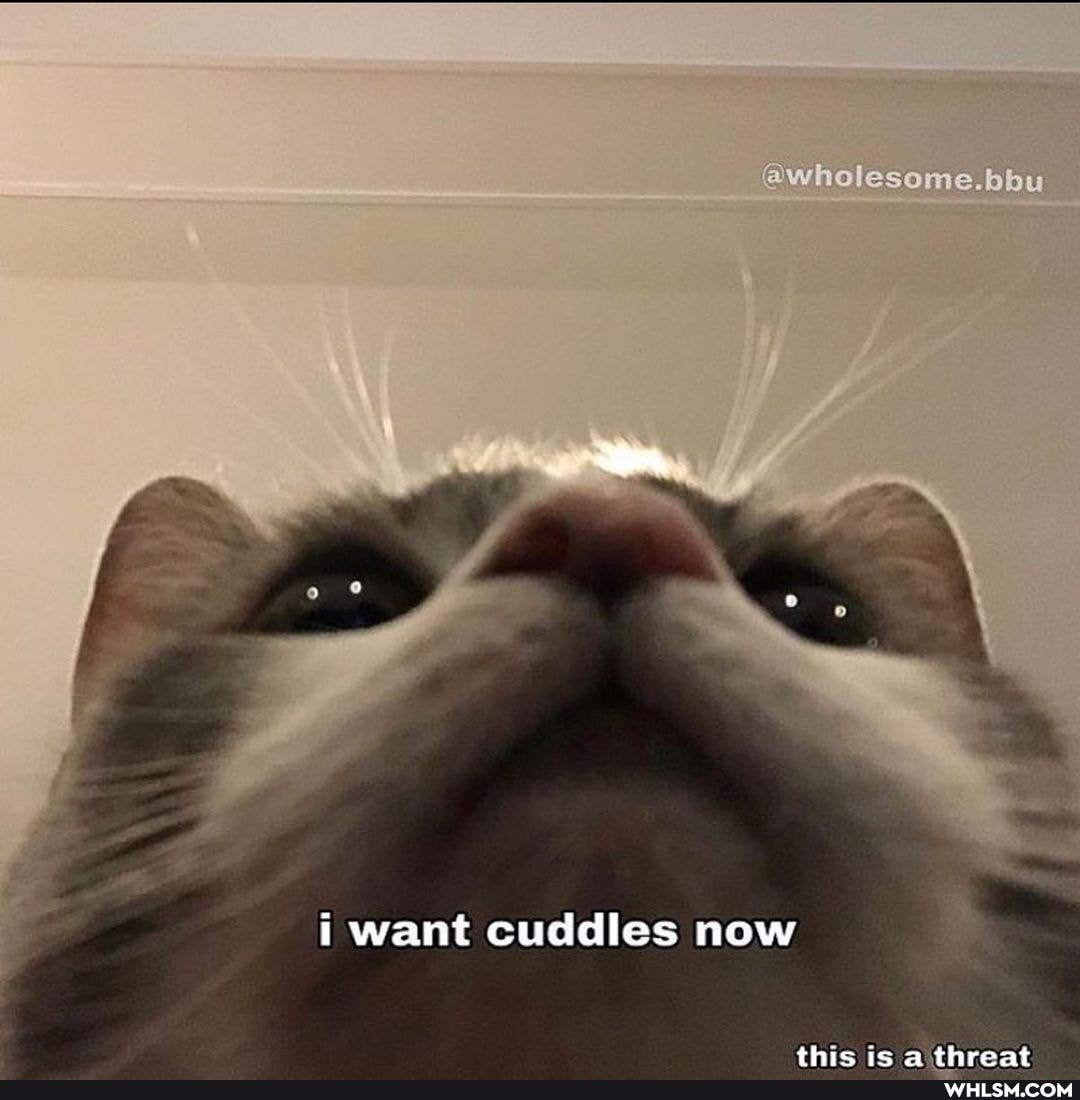 @wholesome.bhu
want cuddles now
ie theost