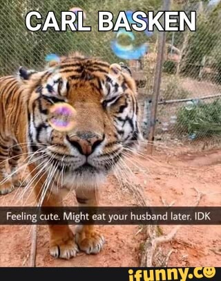 Feeling cute. Might eat your husband later. IDK