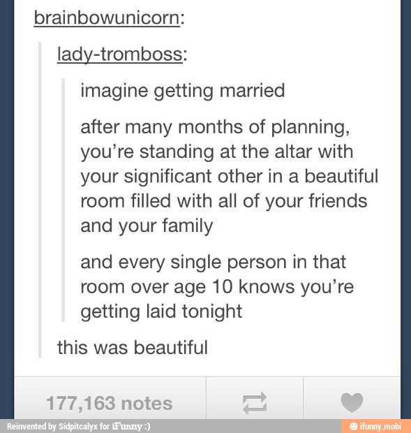 brainbowunicorn:
lady-tromboss:
imagine getting married
after many months of planning,
you're standing at the altar with
your significant other in a beautiful
room filled with all of your friends
and your family
and every single person in that
room over age 10 knows you're
getting laid tonight
this was beautiful
177,163 notes