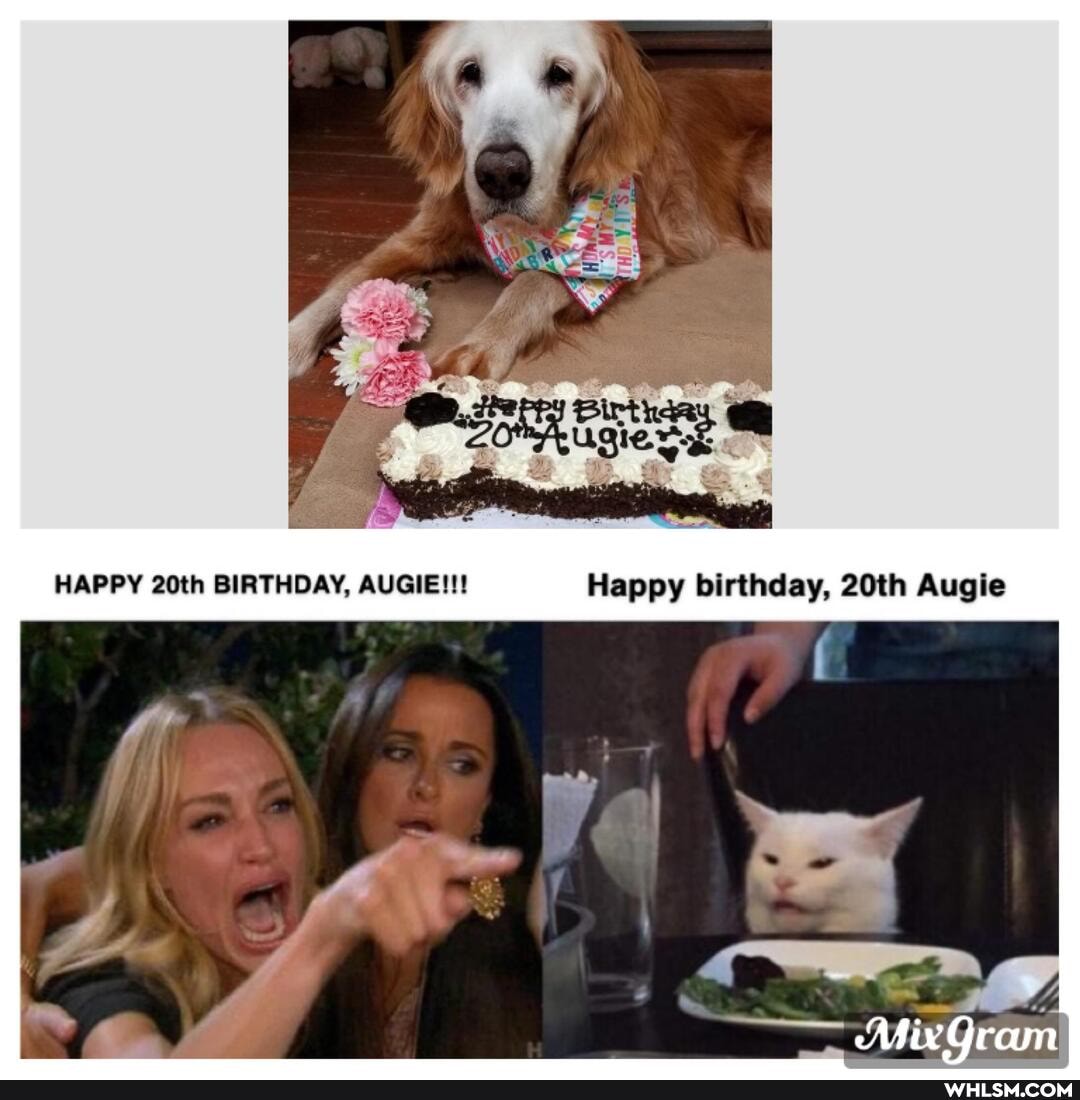 HAPPY 20th BIRTHDAY, AUGIE!!! Happy birthday, 20th Augie
