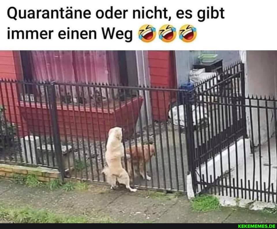 Quarantäne oder nicht, es gibt
immer einen Weg