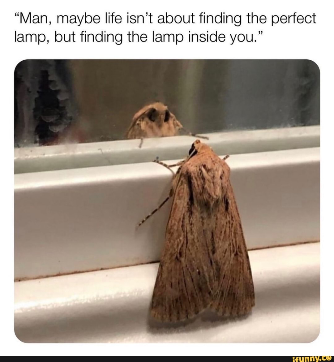 "Man, maybe life isn't about finding the perfect
lamp, but finding the lamp inside you."