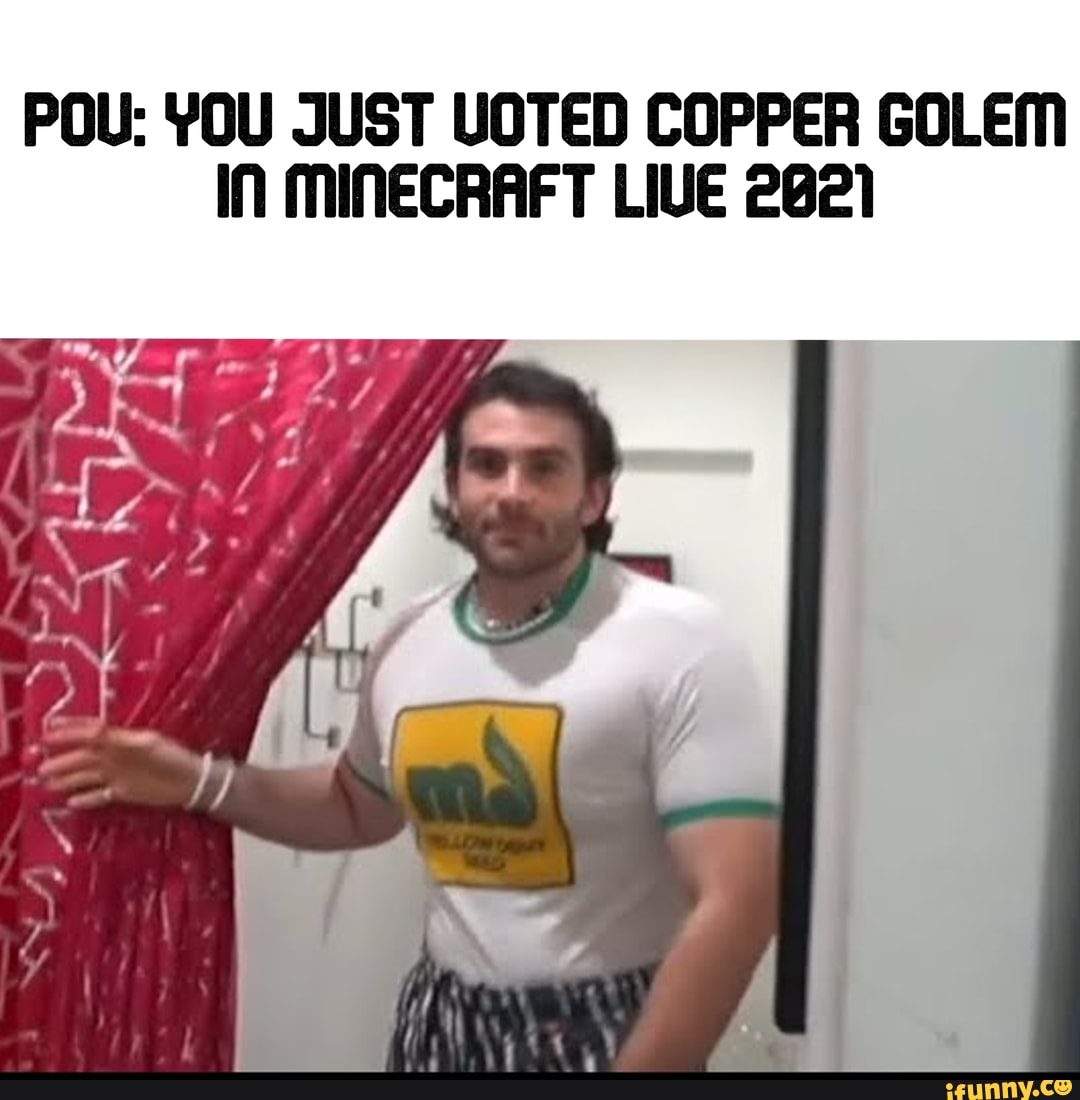 POU YOU JUST UOTED COPPER GOLEM IN MINECRAFT LIVE 262) iFunny Brazil